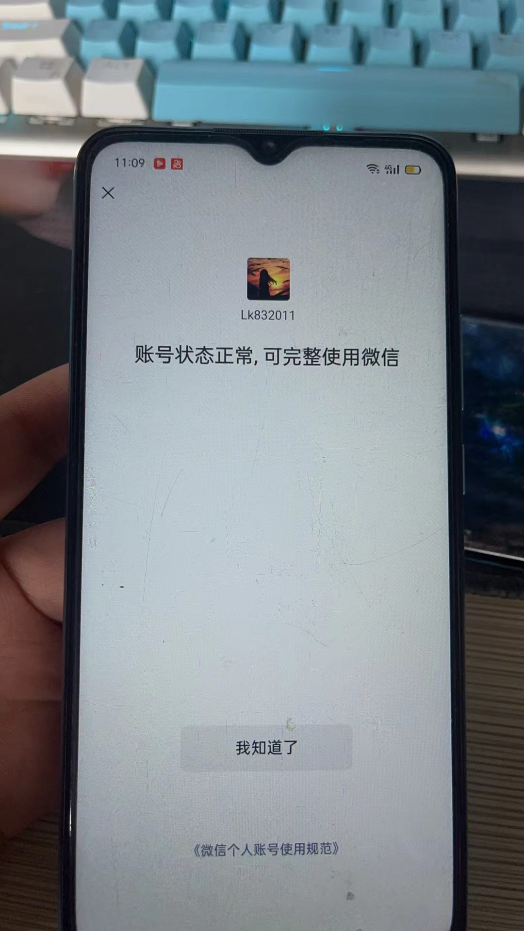 WZKG2243707王者荣耀账号详情图22