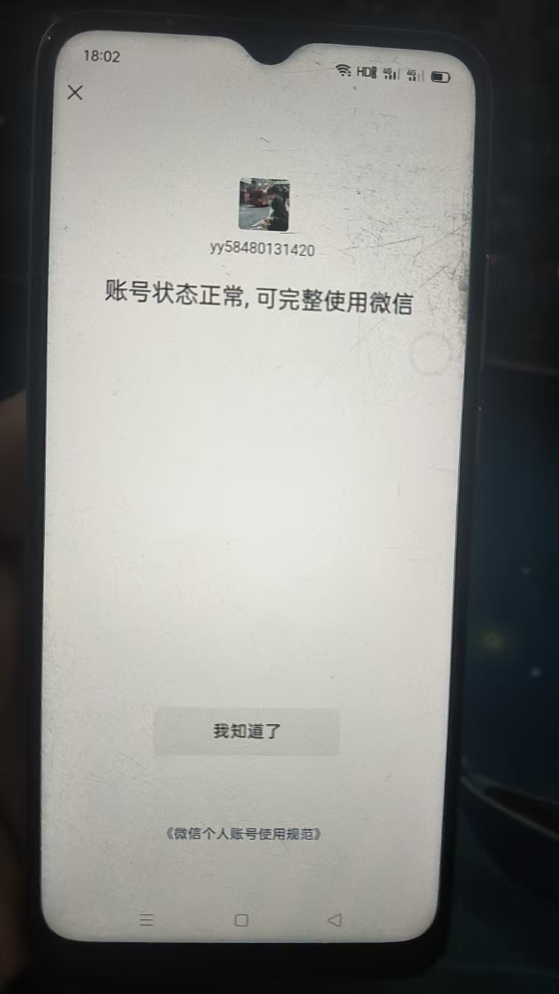 WZKG313000王者荣耀账号详情图27