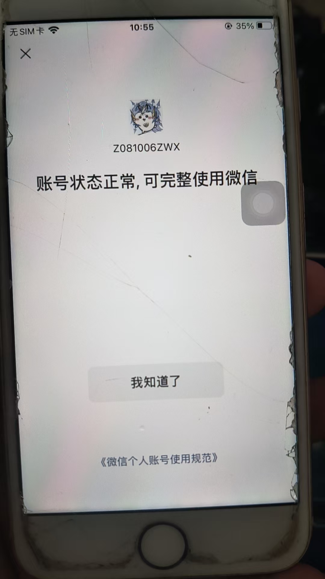 WZKG339598王者荣耀账号详情图27