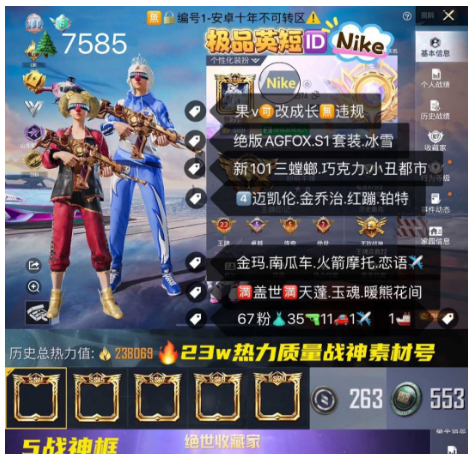 实名: 可修改 亮点: 英短IDNike ...