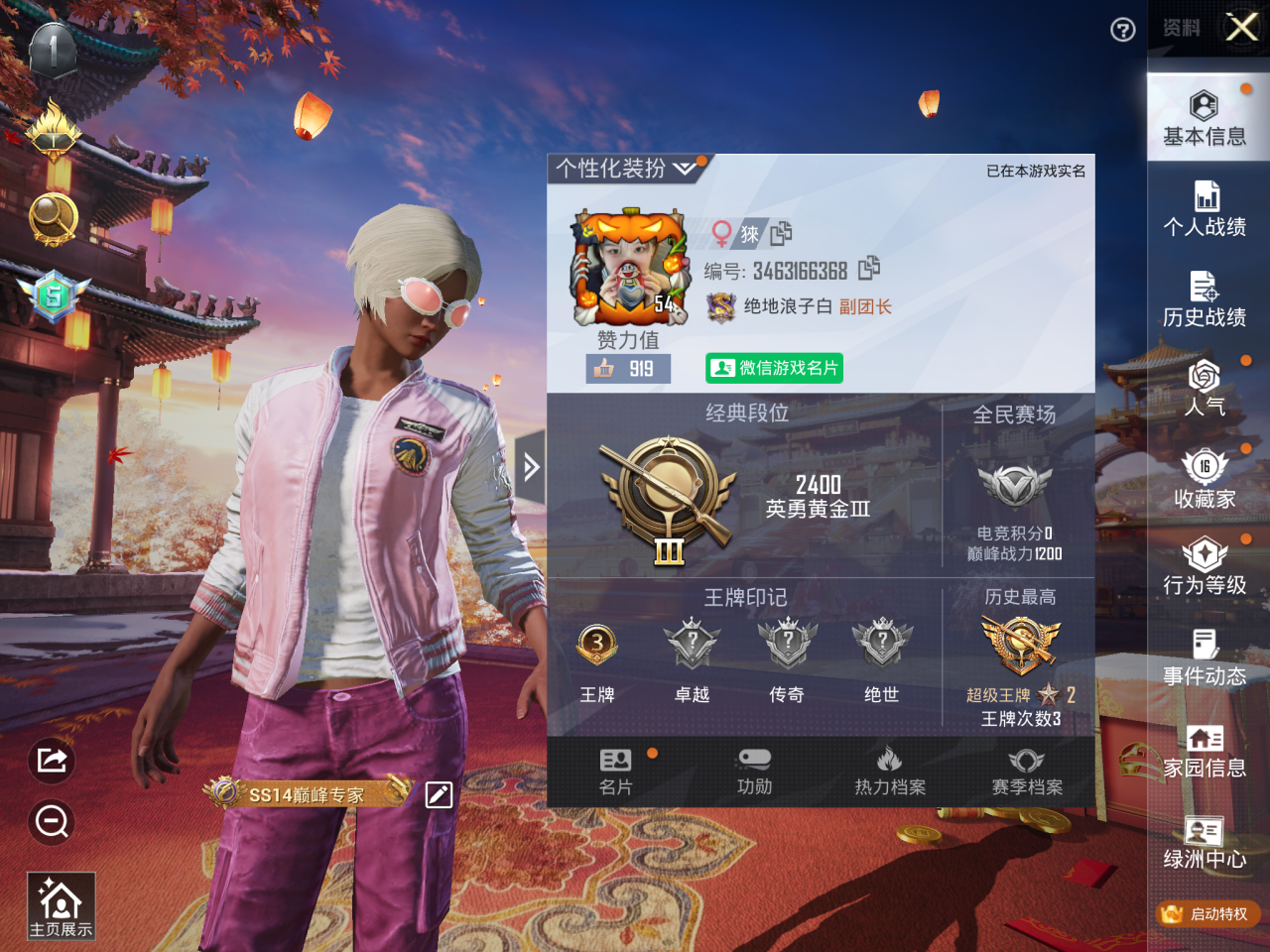 HPKG3131589和平精英账号详情图2