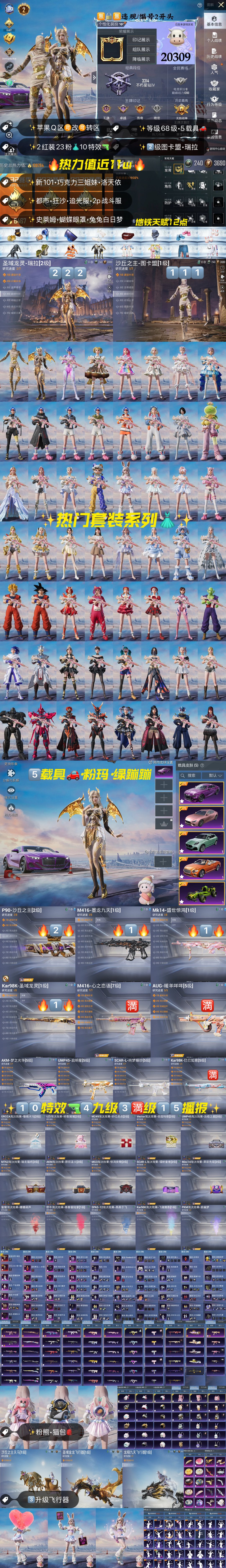 HPKG3160392和平精英账号详情图2