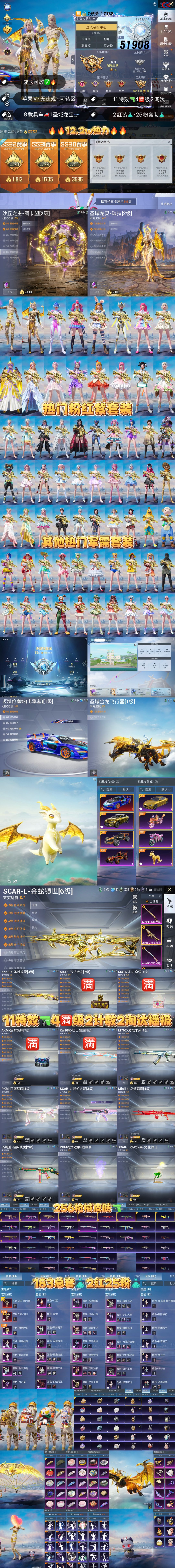HPKG3160386和平精英账号详情图2