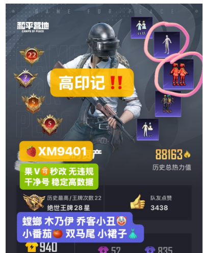 和平精英账号苹果微信编号XM9401  果V可秒改 22印记‼高数据 木乃伊 螳螂 新101 乔客小丑  权威小番茄 双马尾 奶油派 12粉装 11常用特效 1车