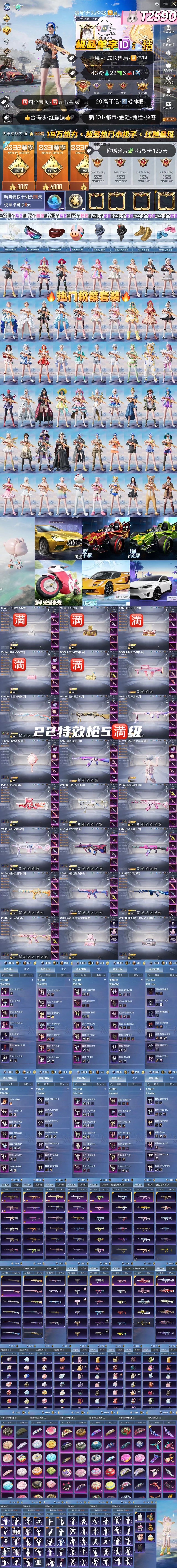 HPKG3164667和平精英账号详情图2