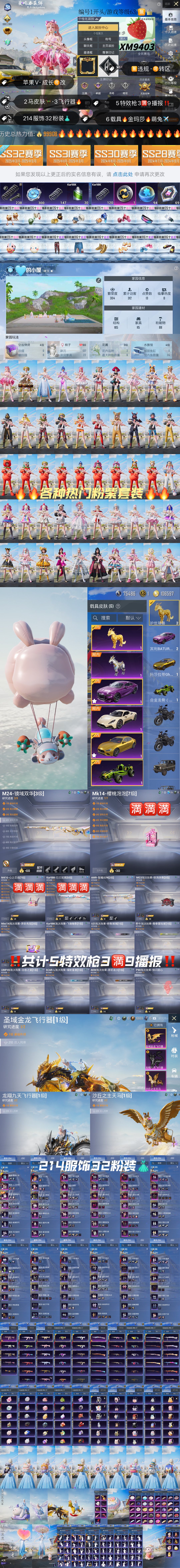 HPKG3168992和平精英账号详情图2
