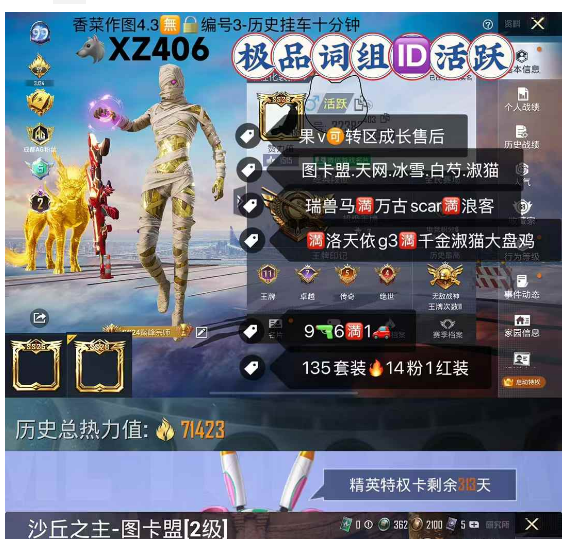 和平精英账号苹果微信极品词组ID活跃苹果 【XZ406】  图卡盟 冰雪 天网 白芍歌姬 千金淑猫 史莱姆 甜梦小狐 瑞兽马满万古scar满浪客 满洛天依g3满淑猫大盘鸡 9枪6满1车17粉1红1框