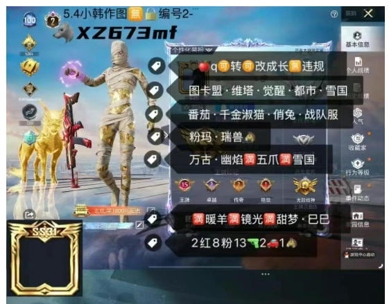 和平精英账号苹果QQ【XZ673mf】 ‼ 苹果q-可改成长 带王者v6 使命 图卡盟 维塔 觉醒 都市 雪国 番茄 千金淑猫 俏兔 战队服 粉玛 瑞兽马 万古 幽焰 满五爪 满雪国 满暖羊 满镜光 满甜梦 2