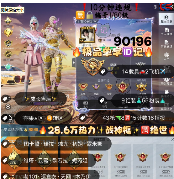 和平精英账号苹果微信编号90196  果V售后，单字ID记，地铁满天赋，新老战神框，30高印记，满绝世，满级图卡盟，瑞拉，烛九，初翊，露米娜，维塔，云鸾，欧若拉，妮芮妲，新老101，巡查，天网，木乃伊，小丑，都