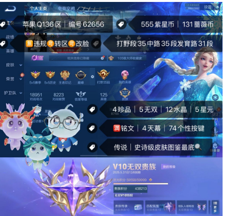 王者荣耀账号苹果QQ 编号62656  果Q可改 ，527皮，打野段 35中路35段发育路31段，4珍品|5无双|12水晶|5星元，満铭文|4天幕|74个性按键，带金铲铲v10