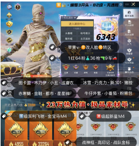 和平精英账号苹果微信编号6343   图卡盟 木乃伊 小丑 巡查衣 冰雪 巧克力 天网 金鞋 都市 赤蝎寒蝎 星星裤 牛仔外套 猪脸 小番茄 粉熊包 国宝头 5级宾利飞驰 金宝马M4 满级超新星M4 星际M4 