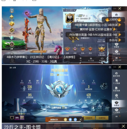 和平精英账号苹果QQ 苹果Q-【可改】-【无设备】 19王牌印记-【高印记】-【战神框】 3红-25粉-31枪-3载具 【热门服装】4级图卡盟 1级欧若拉 小丑 1级敖渊 黄螳螂 雪国 红螳螂 巡查衣 木乃伊 