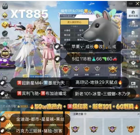 和平精英账号苹果QQ【XT885】‼ 苹果v 成长可改•高印记•29地铁天赋满图卡盟 塞卢姆 敖渊 妮芮妲 欧若拉 木乃伊 三螳螂 金迪迦 黑丝 都市 巧克力 满皇家紫宾利满粉布加迪 路特斯吉普 金玛 红蹦 金