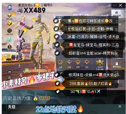 和平精英账号苹果QQ两万 大转盘碎片  【XX489】苹果q 成长可改•358夺宝 40璀璨宝石 图卡盟 露米娜 妮芮妲 龙妈 欧若拉 云鸾 敖渊 小丑 金鞋 赤蝎 新101 冰雪 巧克力 猪妹 白芍 第五大道