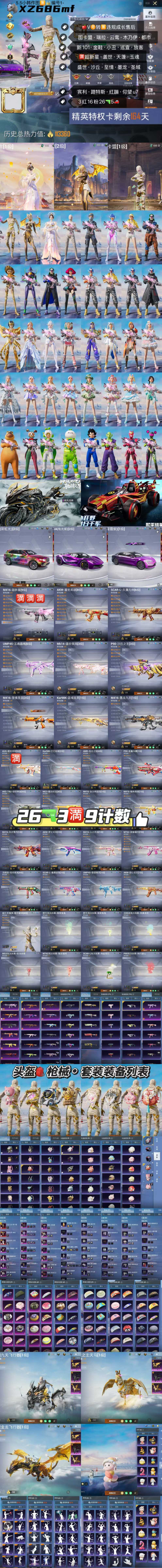 HPKG3200671和平精英账号详情图2 HPKG3200671和平精英账号详情图2