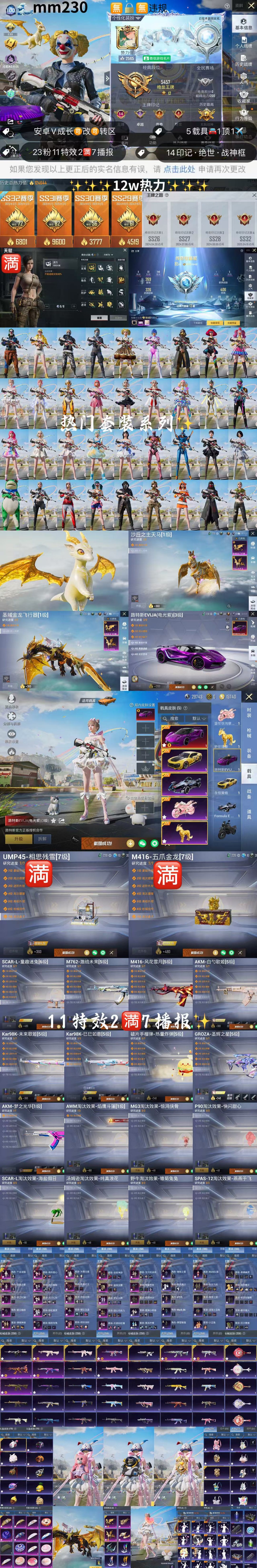 HPKG3204155和平精英账号详情图2 HPKG3204155和平精英账号详情图2