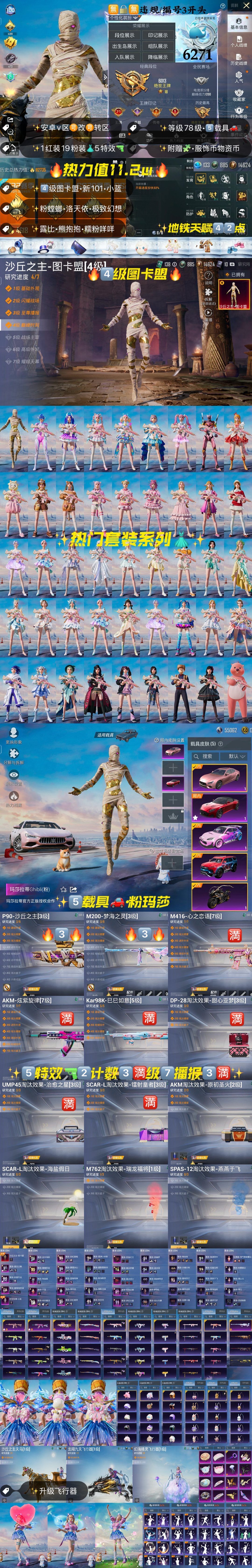 HPKG3206813和平精英账号详情图2 HPKG3206813和平精英账号详情图2