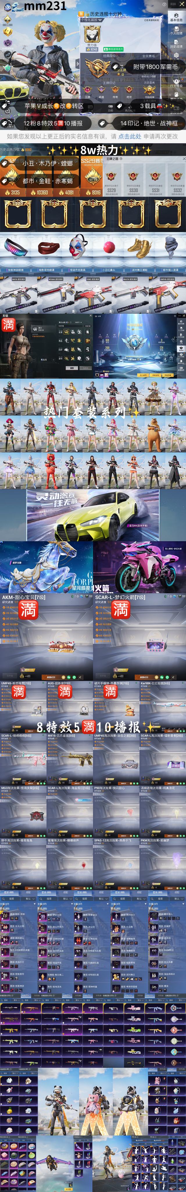 HPKG3207613和平精英账号详情图2 HPKG3207613和平精英账号详情图2