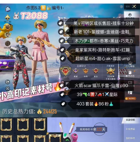 和平精英账号苹果微信【T2088】‼ 苹果v 小高印记素材号•多赛季战神 新老101 紫螳螂 金迪迦 金鞋 都市 赤寒 黑丝 追光 天网 木乃伊 巧克力 皇家紫宾利 路特斯 红蹦 玉狮子马 超新星m4 甜心ak