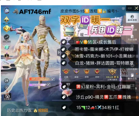 和平精英账号苹果微信双字ID暖一 兵团ID暖一 【AF1746mf】 ‼ 苹果V 423扭蛋碎片 191天特权卡 4级图卡盟 露米娜 木乃伊 螳螂 冰雪 巧克力 新101 小丑 黑丝猪妹 白龙 胖达 哥特眼罩 