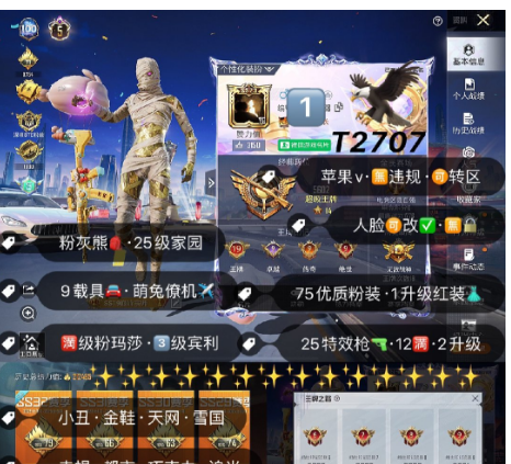 和平精英账号苹果微信T2707  苹果v 可二次 无违规 5级图卡盟 螳螂 雪国 都市 小丑 赤蝎 金鞋 天网 木乃伊 新101 巧克力 巡查衣 追光服 黑丝 小丑女 满玛莎 3宾利 75粉1红 24特 9载 