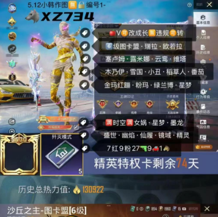 和平精英账号苹果微信【XZ734】 ‼ 苹果V可改成长 带五张歼灭卡‼ 6级图卡盟 瑞拉 欧若拉 塞卢姆 露米娜 云鸾 维塔 木乃伊 雪国 小丑 稻草人 番茄 粉咩 妙趣 金玛红蹦 粉玛 绿兰博 星梦马 满时空