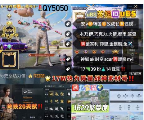 和平精英账号安卓微信英短IDuBS 编号QY5050  安v可改1战神框 战队金标 木乃伊 巧克力 新101 都市 巡查 追光服 音符 奶油裙 猪妹 花仙子 炫金战神 草莓生巧 放客 彩虹  满紫宾利3紫仰望 