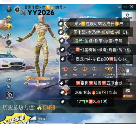 和平精英账号苹果微信【YY2026】 ‼苹果v 成长可改•图卡盟 木乃伊 金鞋 新101 冰雪 都市 追光 赤蝎 赵灵儿 满幻星粉轿 绿蹦 瑞兽 白玛 兔飞机 墨龙m4 沙丘p90满甜心ak满童趣 满残雪满五爪