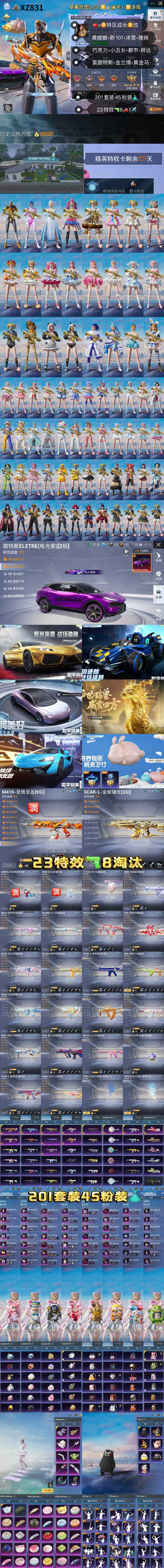 HPKG3231040和平精英账号详情图2 HPKG3231040和平精英账号详情图2