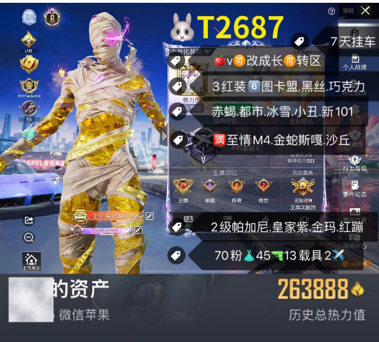 和平精英账号苹果微信【T2687】 苹果v可改 ‼ 3红装6图卡盟 黑丝 巧克力 赤蝎 都市 冰雪 小丑 新101 满至情M4 金蛇斯嘎 沙丘p90 2级帕加尼 皇家紫 金玛 红蹦 70粉3红 45枪13载具2