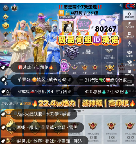 和平精英账号苹果QQ 编号80267  果Q可改，词组ID承诺，33印记，战神框，6级图卡盟，妮芮妲，木乃伊，星星裤，巡查，螳螂，Agfox战队服，赤蝎，都市，金鞋子，雪国，新101，赵灵儿，放客，猪妹，灵感，