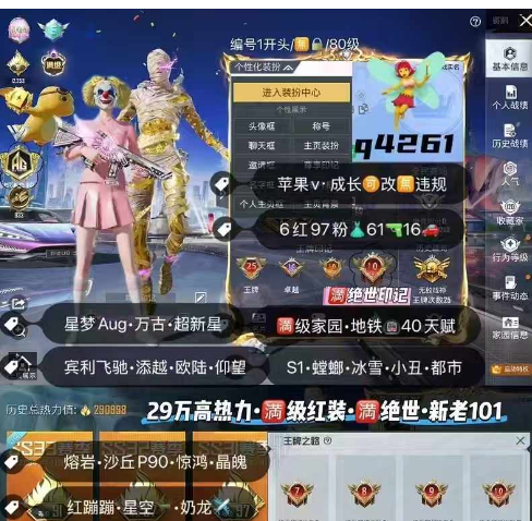 和平精英账号苹果微信编号Q4261   成长可改 满级图卡盟 新老101 S1赛事 冰雪 小丑 都市 金鞋 巧克力 螳螂 猪妹 放客 追光服 小番茄 第五大道 胖达 赵灵儿 馨动 6红97粉 61枪16车1✈ 