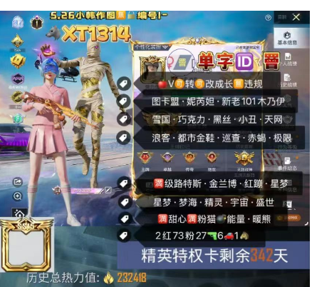 和平精英账号苹果微信单字ID罾 【XT1314】 ‼ 苹果V-可改成长 地铁满天赋 新老101质量素材号  图卡盟 妮芮妲 新老101 木乃伊 雪国 巧克力 黑丝 小丑 天网 浪客 都市金鞋 巡查 赤蝎 极限 