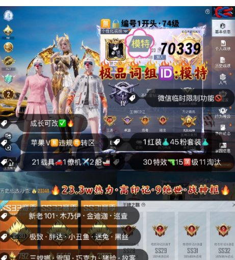 和平精英账号苹果微信 编号70339  果V可改，ID模特，地铁满天赋，战神框，29印记，战神框，2级瑞拉，新老101，木乃伊，金迪迦，巡查，三色螳螂，雪国，巧克力，猪妹，放客，黑丝，狂沙，洛天依，小白龙，飞龙