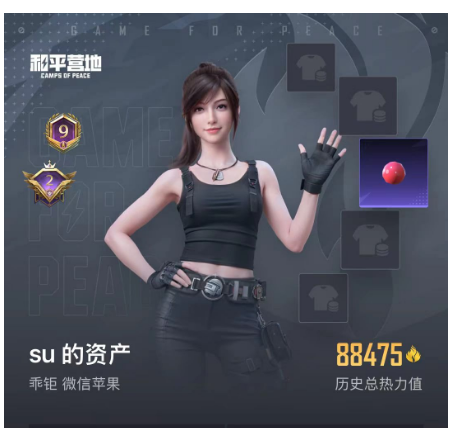 和平精英账号苹果微信 果V可改，小丑，巧克力，猪妹，洛天依，奶龙，放客，金鞋子，天网，幽焰骑士，星梦奇缘，沙丘之主，星梦玉骢，3载具，18特，27粉 