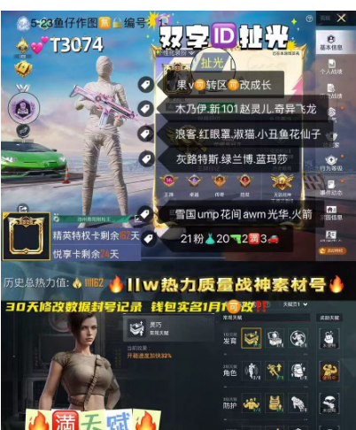 和平精英账号苹果微信【T3074】 极品双字ID扯光 木乃伊 赵灵儿 火箭少女 千金淑猫 20特效 2满3车21粉装