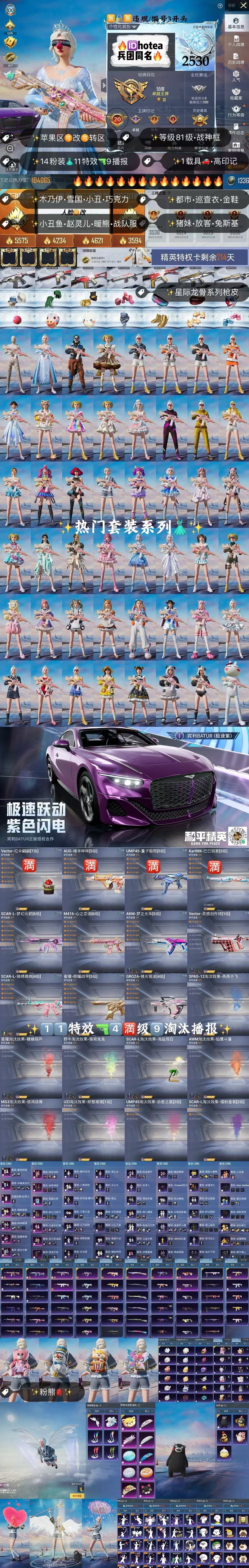 HPKG3253076和平精英账号详情图2 HPKG3253076和平精英账号详情图2