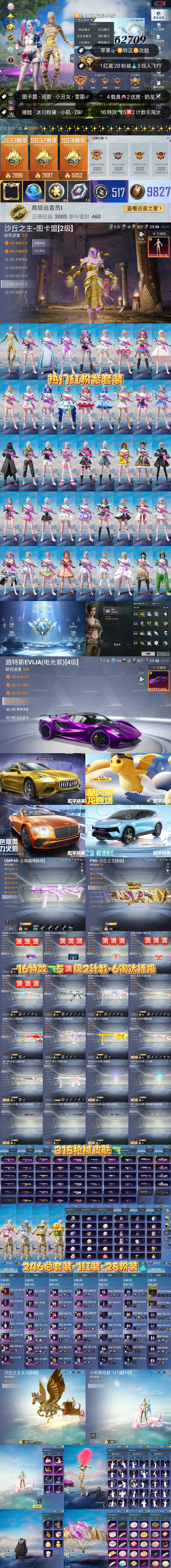 HPKG3255443和平精英账号详情图2