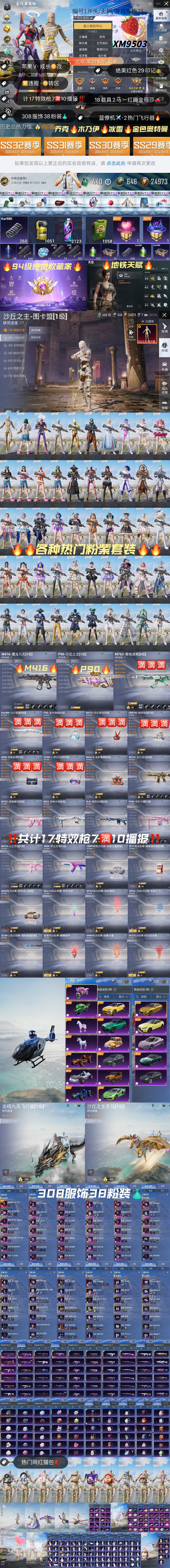 HPKG3257026和平精英账号详情图2