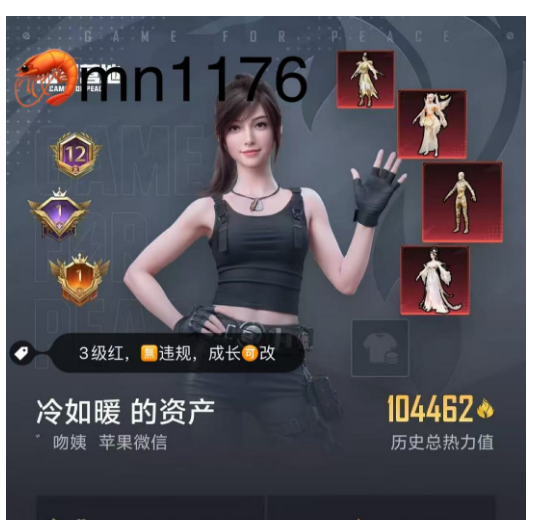 和平精英账号苹果微信 编号mn1176  苹果微信 成长可改 无违规 4红装 3级图卡盟 23粉13枪4载具