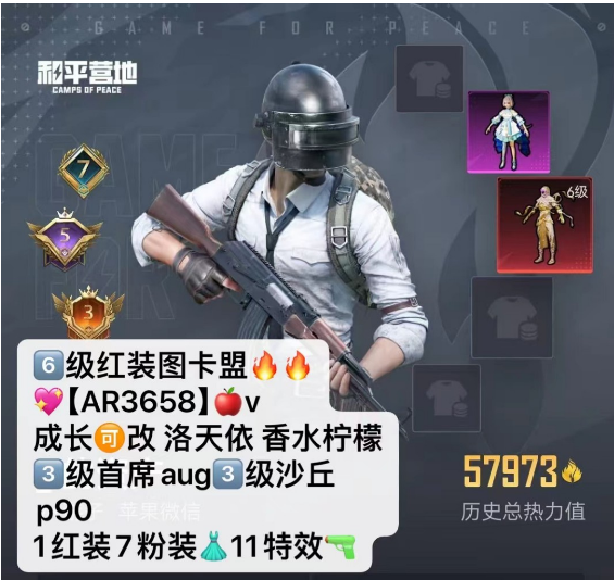 和平精英账号苹果微信6级红装图卡盟  【AR3658】 苹果v 成长可改 洛天依 香水柠檬 3级首席aug3级沙丘p90 1红装7粉装 11特效