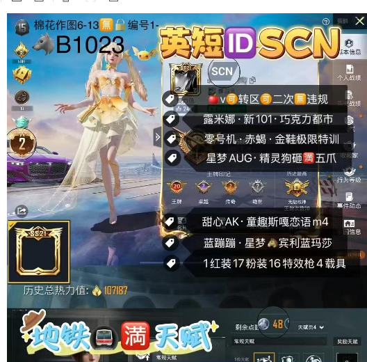 和平精英账号苹果微信英短IDSCN‼ 【B1023】 苹果v可改成长1战神框 露米娜 新101 巧克力 都市 零号机 赤蝎 金鞋极限特训 彩虹奶油裙 猪妹 粉色回忆 星梦AUG 精灵狗砸 满五爪 甜心AK 童趣