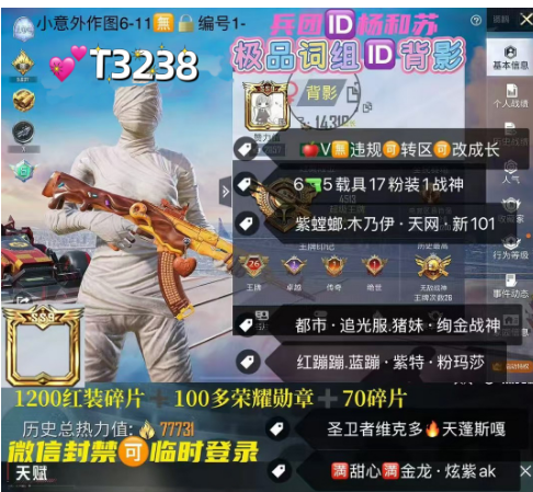 和平精英账号苹果微信【T3238】 ‼ 极品词组ID背影 苹果v无违规可转区可改成长 木乃伊 紫螳螂 天网 追光服 火箭少女 6特效 5车17粉装