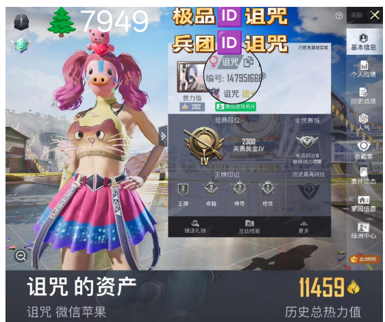 和平精英账号苹果微信 词组ID诅咒 兵团ID诅咒 编号SL7949苹果v  成长可改 猪妹 放客 3粉装1特效
