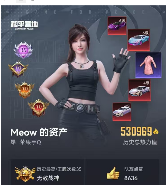 和平精英账号苹果QQ ID昂   【老3可测】 果Q可改，35高印记，满绝世，满级红，老101，近60W热力
