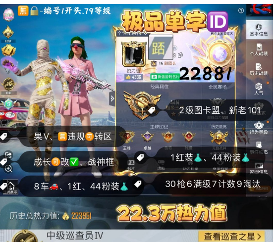 和平精英账号苹果微信 编号22881  果V可改，单字ID踎，战神框，28高印记，2级图卡盟，新老101，螳螂，木乃伊，洛天依，巧克力，小丑，赤蝎，金鞋子，金迪迦，2B，都市，飞龙，狂魅哈莉，小叽，白勺，第五大
