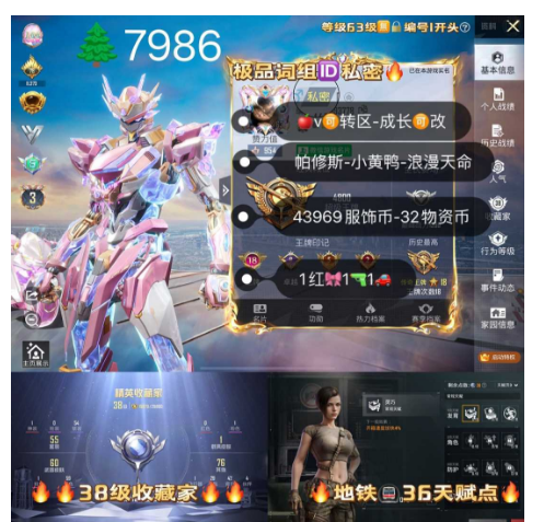 和平精英账号苹果微信词组ID私密 3级帕修斯 编号7986苹果v 可包赔 成长可改 带43969服饰币 小黄鸭 浪漫天命 vector 1红装1特效