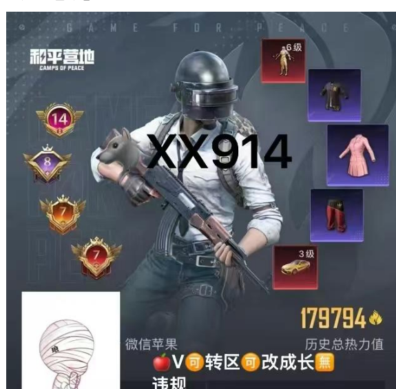 和平精英账号苹果微信【XX914】 苹果V-可改成长 素材号  6级图卡盟 烛九 维塔 敖渊 新老101 S1套 龙师傅 金鞋 星星裤 黄螳螂 巧克力 彩虹奶油 极限 极客 宝马M4 帕加尼 粉玛 瑞兽 星梦晶