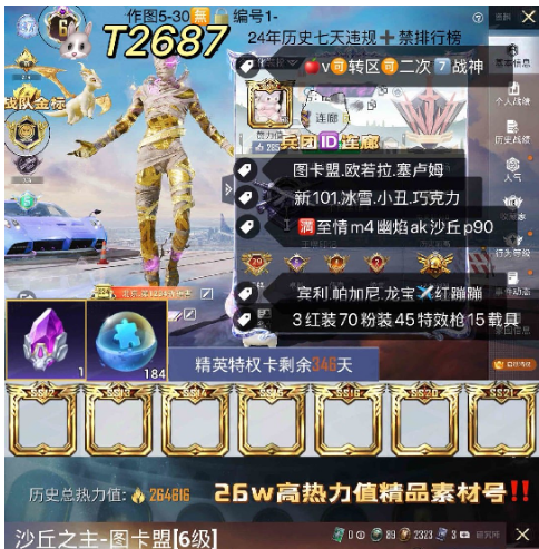 和平精英账号苹果微信【T2687】 ‼苹果可改成长 6级图卡盟 欧若拉 塞卢姆 黑丝 新101 冰雪 小丑 巧克力 都市 赤蝎 金鞋放客 猪妹 马卡龙 糯粉咩咩 洛天依 满至情至圣m4幽焰ak 金蛇斯嘎 沙丘p