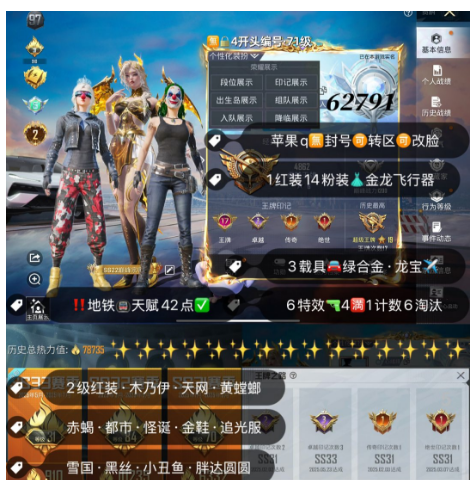 和平精英账号苹果QQ 【素材】编号62791  果Q可改，17印记，2级瑞拉，木乃伊，螳螂，赤蝎，小丑，追光，金鞋子，雪国，新101，2B，都市，放客，小白龙，圣域龙灵，6特4满1计数6淘汰，14粉1红，3载具